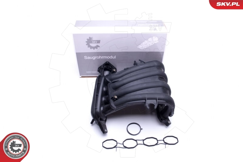 Intake Manifold Module